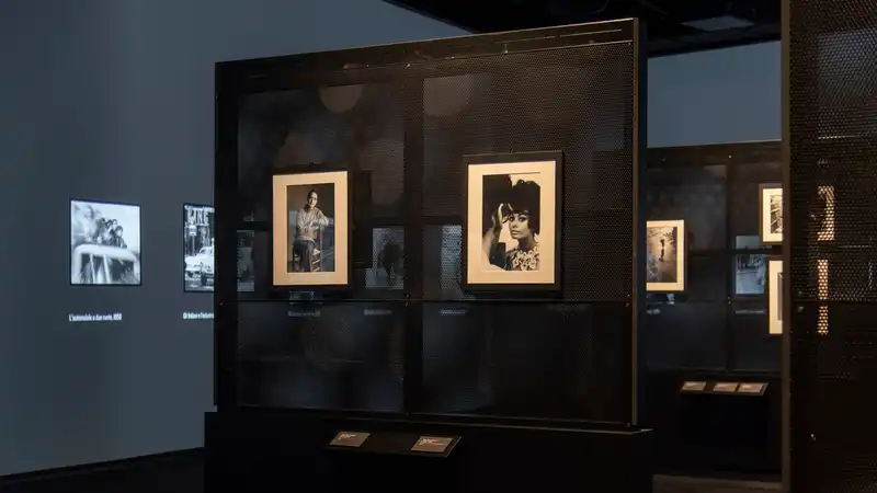Il Museo M9 racconta il Belpaese e Mario Rigoni Stern