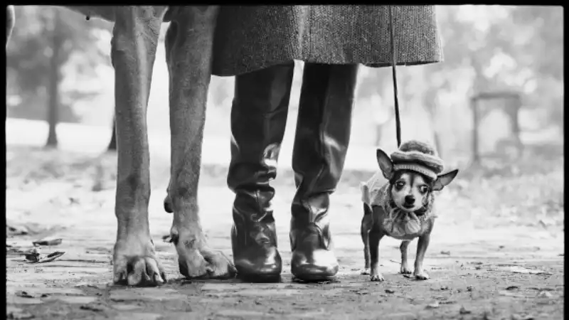 Elliott Erwitt in mostra a Bologna