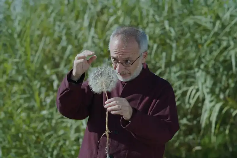 Holy Wood Dust: il nuovo documentario di Victor Kossakovsky
