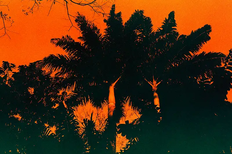 Rencontres d’Arles 2026: il Sud Globale e William Klein