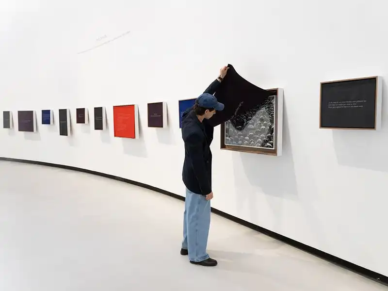 Sophie Calle al Maxxi: una recensione della mostra romana